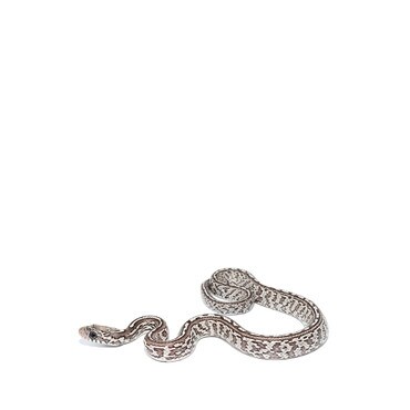Anery Tessera Corn Snake